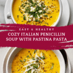 Italian Penicillin Soup Recipe